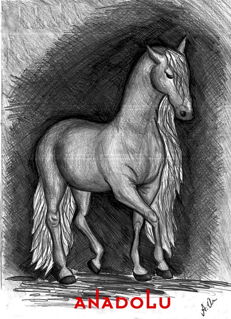 Kara Kalem At Çalışması Maltepe Kara Kalem At Çalışması Maltepe Kara Kalem At Çalışması Maltepe Kara Kalem At Çalışması Maltepe Kara Kalem At Çalışması Maltepe Kara Kalem At Çalışması Maltepe Kara Kalem At Çalışması Maltepe